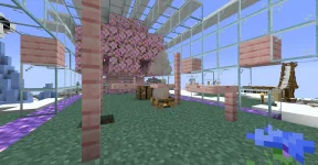 image6.webp